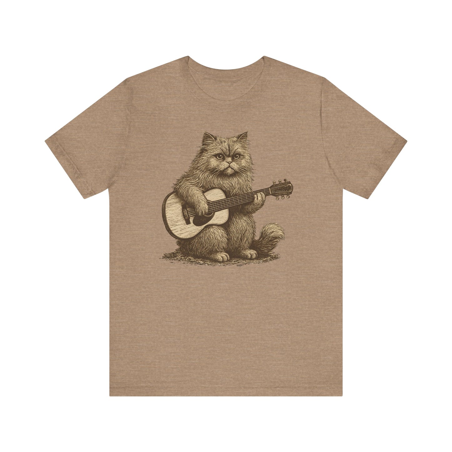 Persian Cat Playing Acoustic Guitar