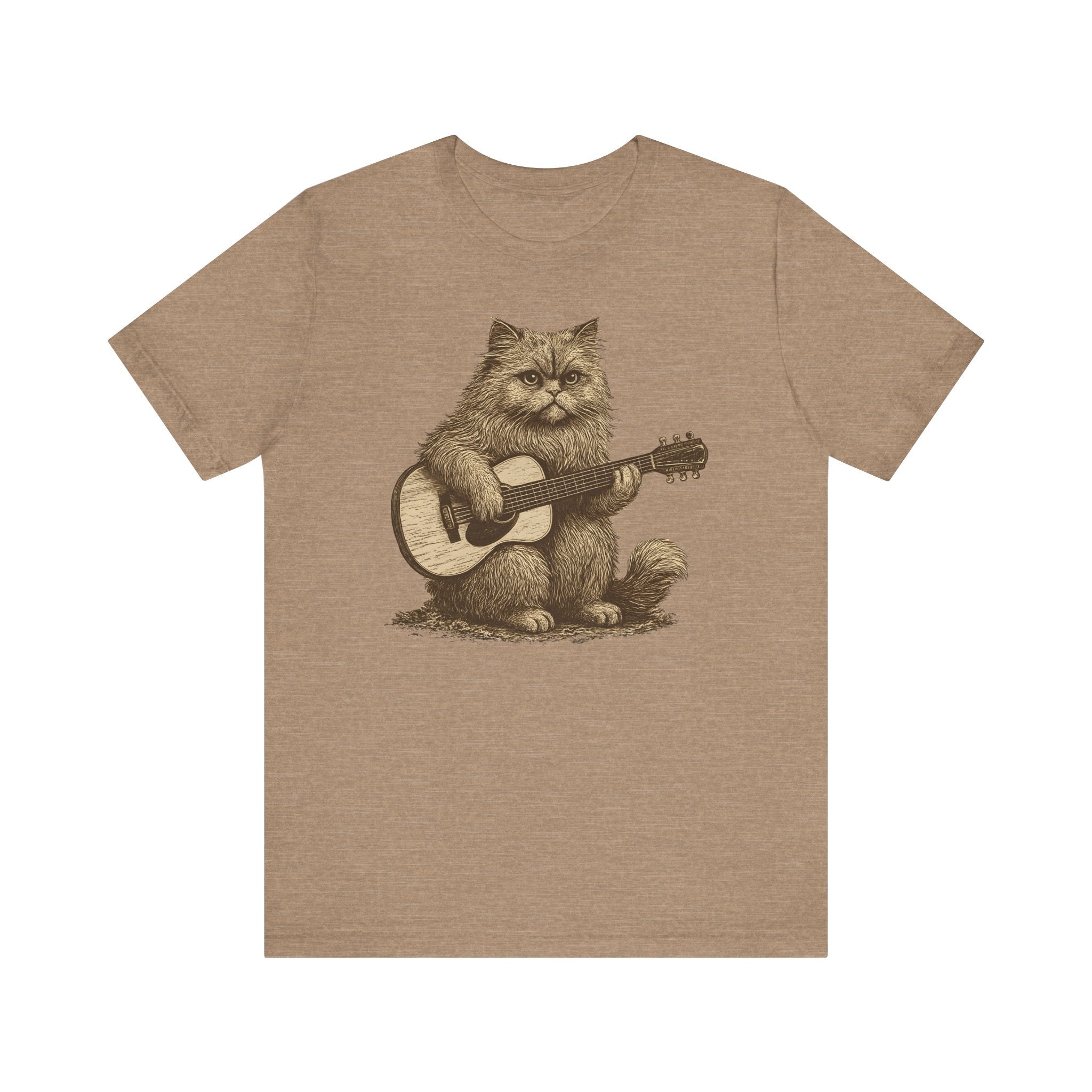 Persian Cat Playing Acoustic Guitar