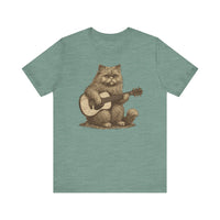 Persian Cat Playing Acoustic Guitar