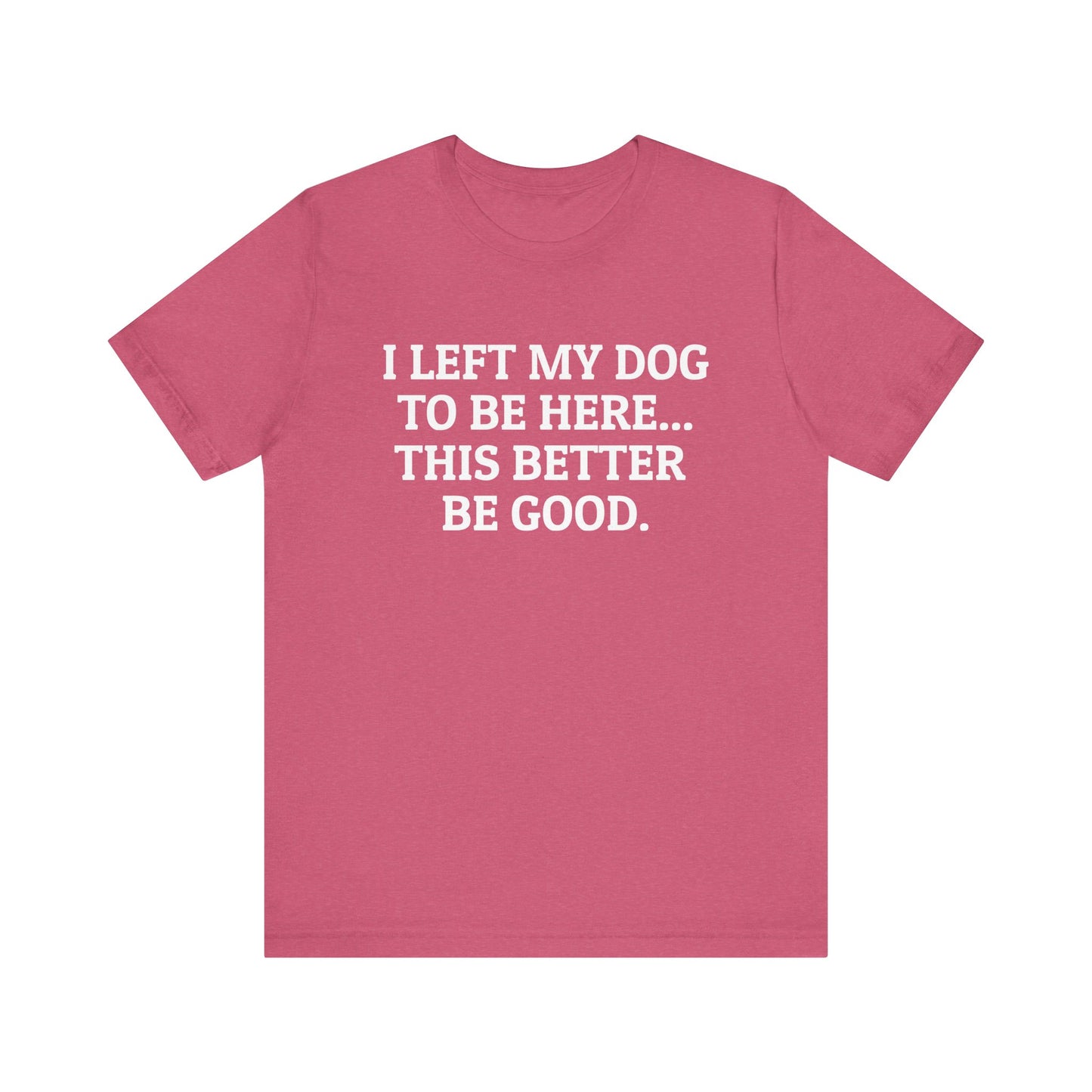 I Left My Dog to Be Here T-Shirt